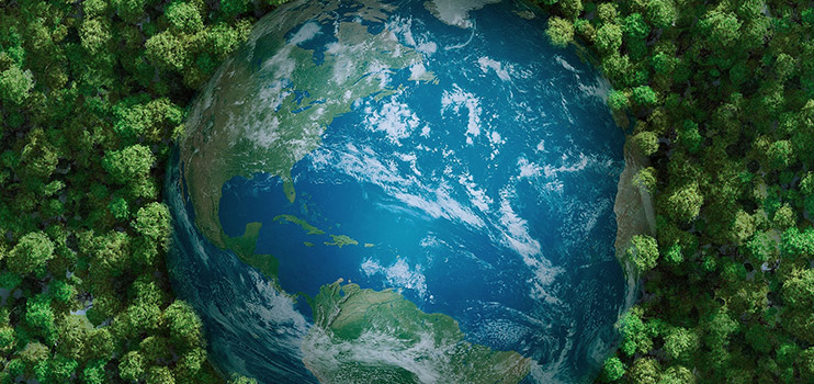 Coloray partecipa attivamente alla causa globale di protezione ambientale.